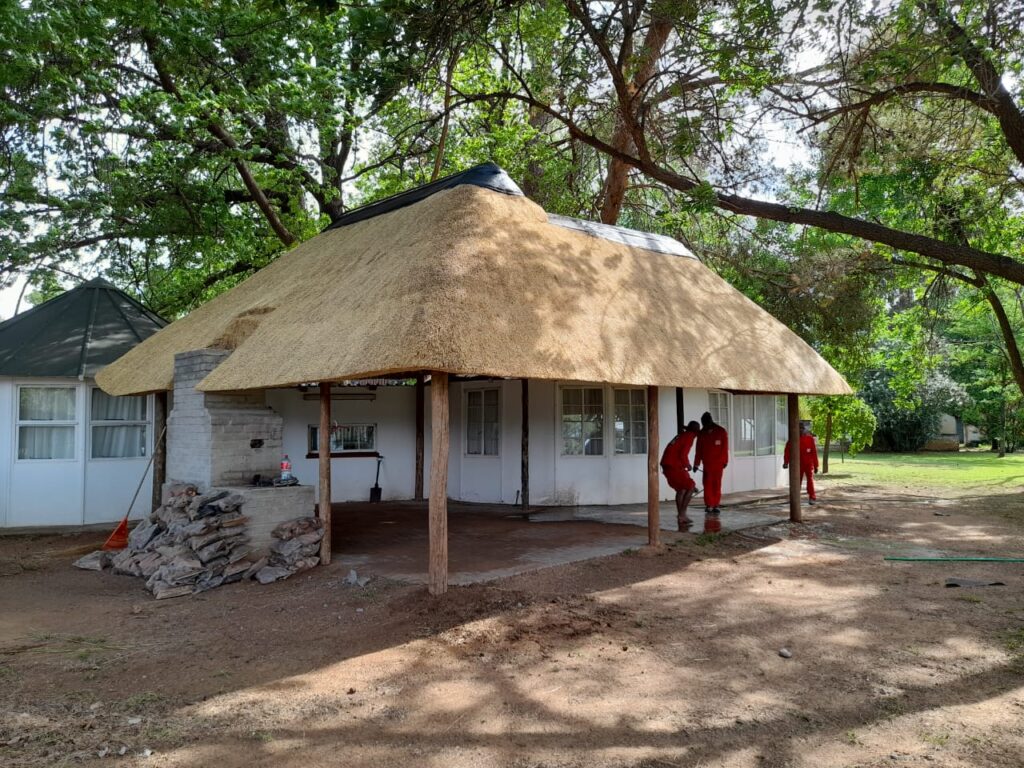 Thatch brushing and maintenance